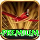 pk11 Live Casino Premium